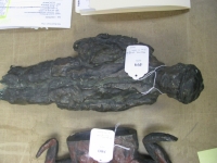 DARGATE JULY 2011 and OTHERS 044