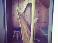 Harp Photo