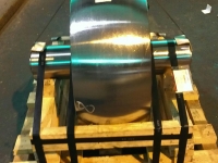 100MEDIA$IMAG0932 (1).jpg