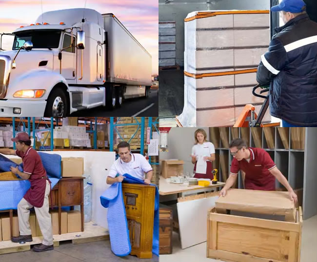 Shipping & Freight Services